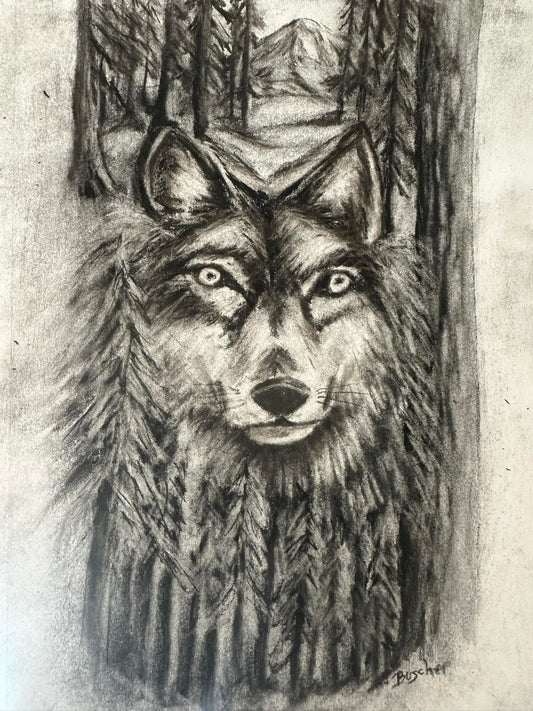 The Lone Wolf     (Charcoal )