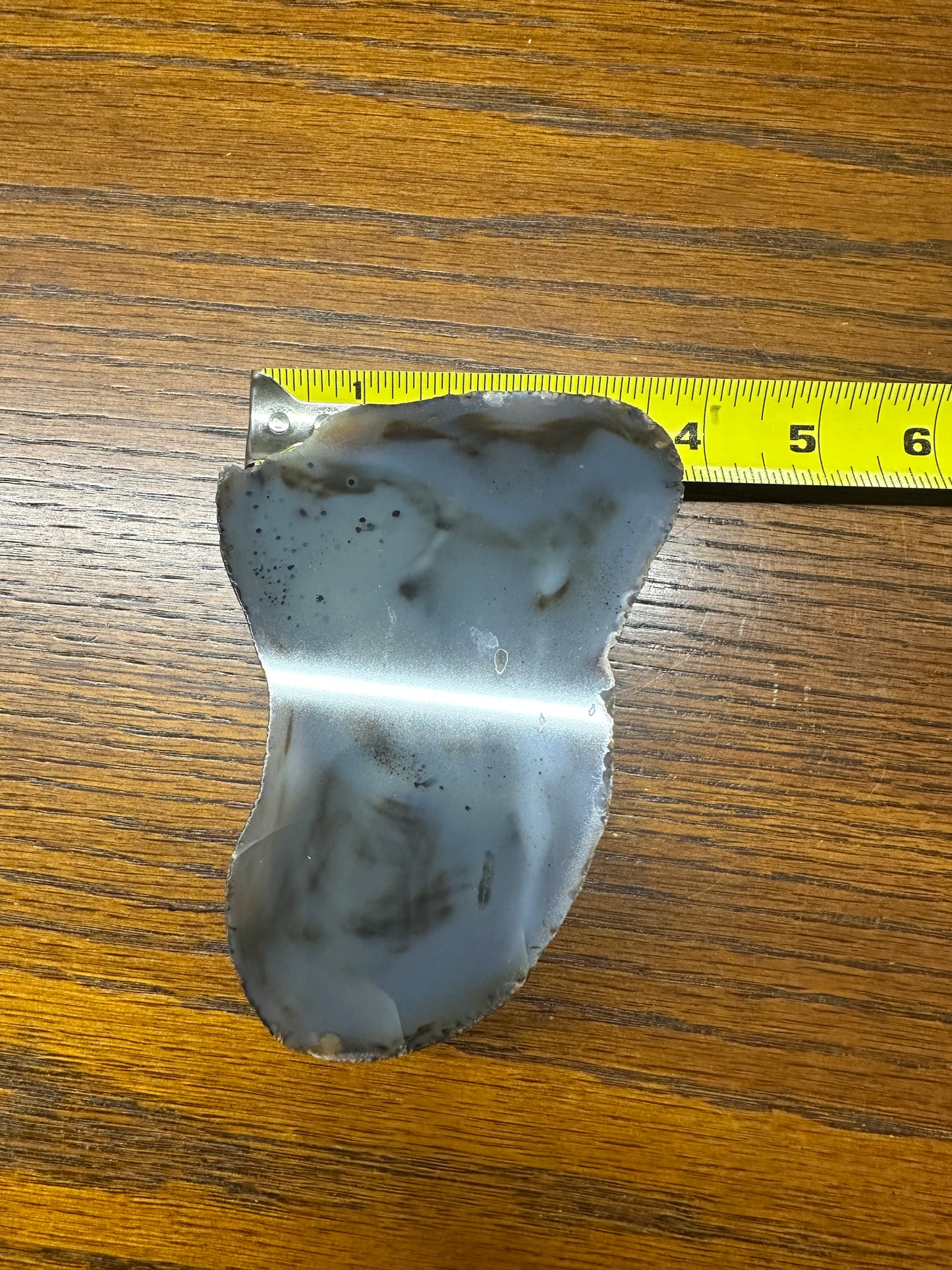 BSAS117 Black Skin Agate Cut & Polished